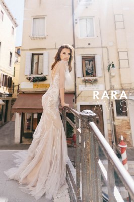 Koira0