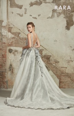 LAVIN2